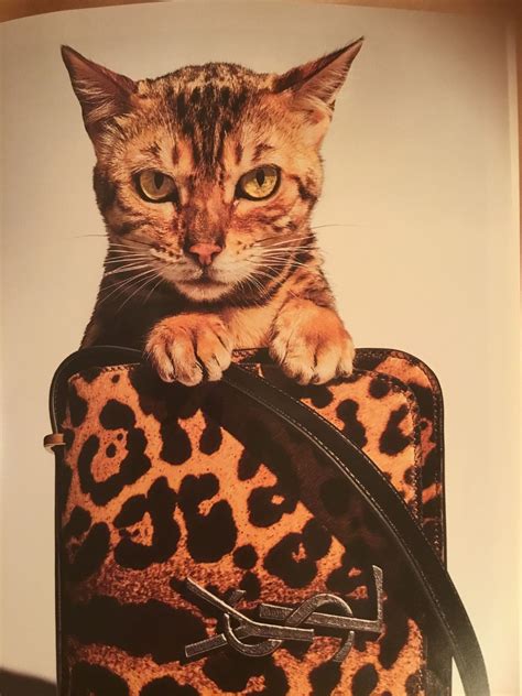 cat print louis vuitton dupe